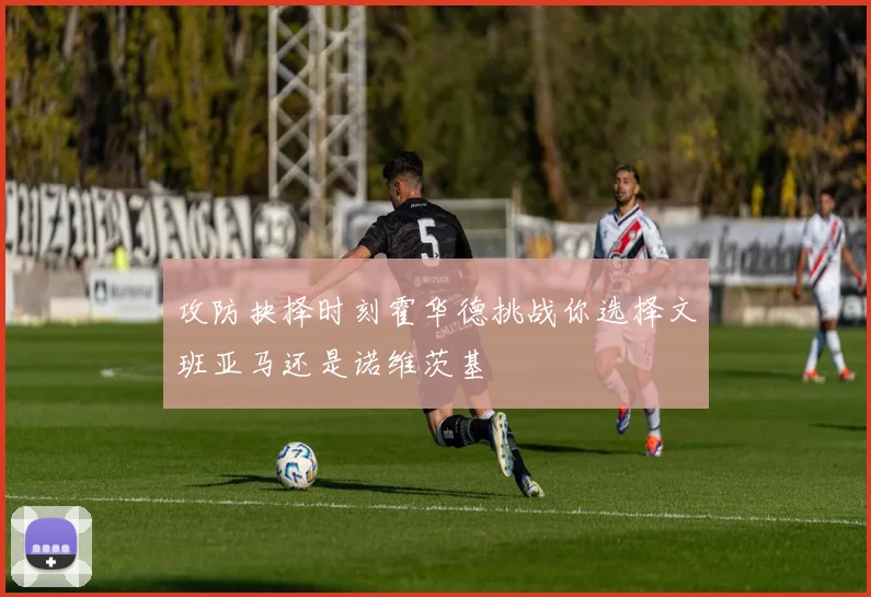 攻防抉择时刻霍华德挑战你选择文班亚马还是诺维茨基