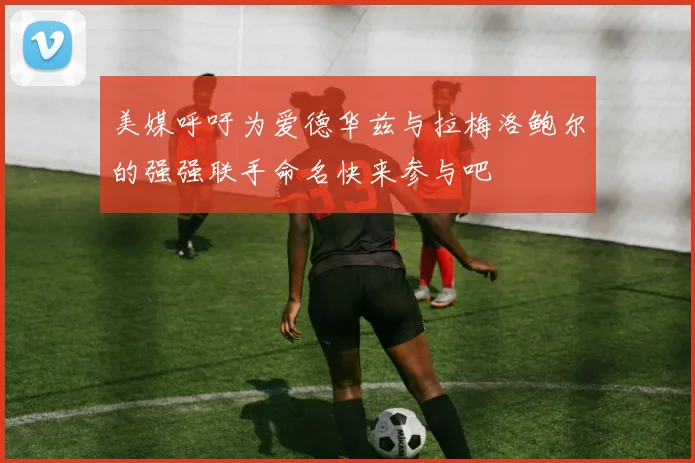 美媒呼吁为爱德华兹与拉梅洛鲍尔的强强联手命名快来参与吧