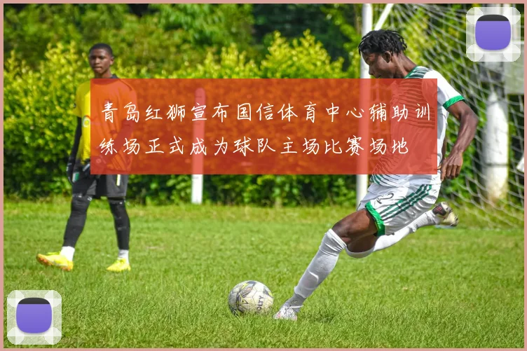 青岛红狮宣布国信体育中心辅助训练场正式成为球队主场比赛场地